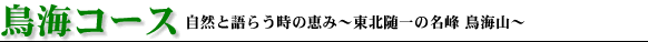 ���C�R�[�X
