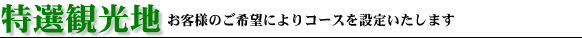 �H�c�����I�ό��n